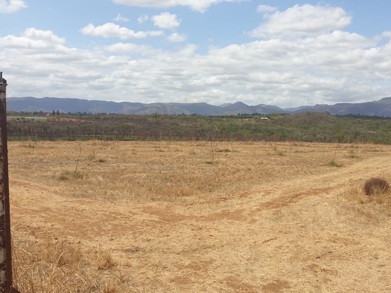 Prime Agricultural & Rental Investment – 12.09ha Farm with Pecan Orchards - Photo 8