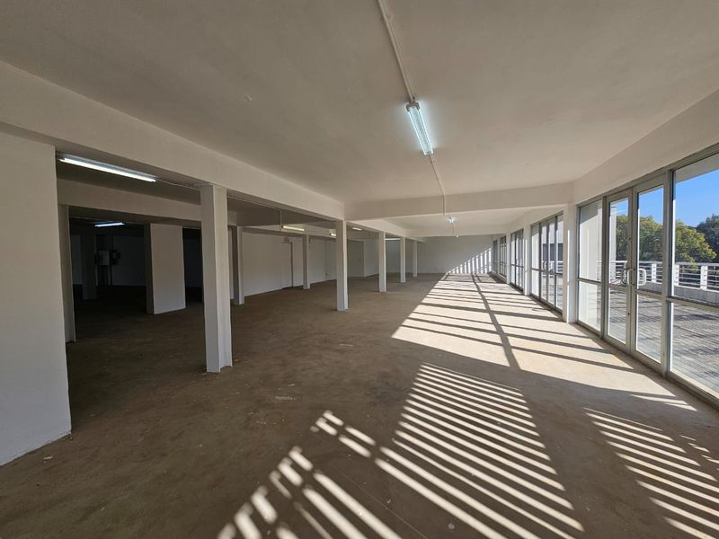 TO LET – Open-Plan Commercial Space | 556 m2 | Waterkloof Corner - Photo 9