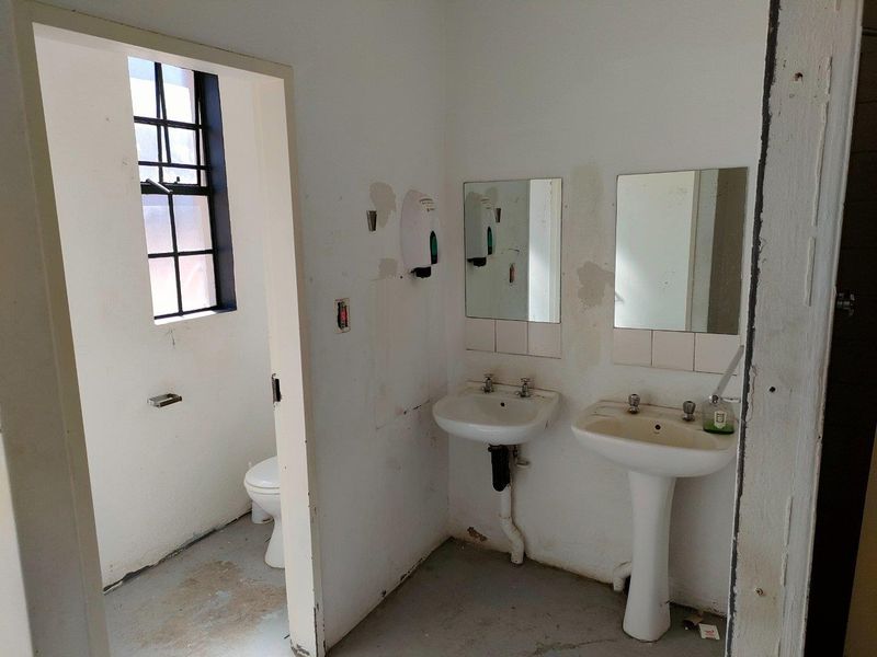 Industrial restroom facility featuring dual pedestal basins, wall-mounted mirrors, and a separate toilet cubicle with a steel-framed window.