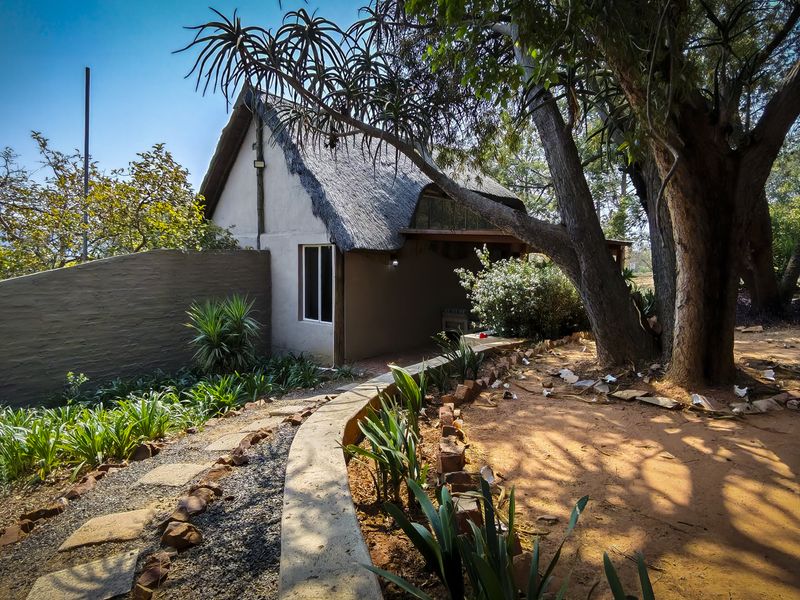 A Destination with Endless Potential | 16.5ha Lifestyle Farm Near Broederstroom - Photo 7