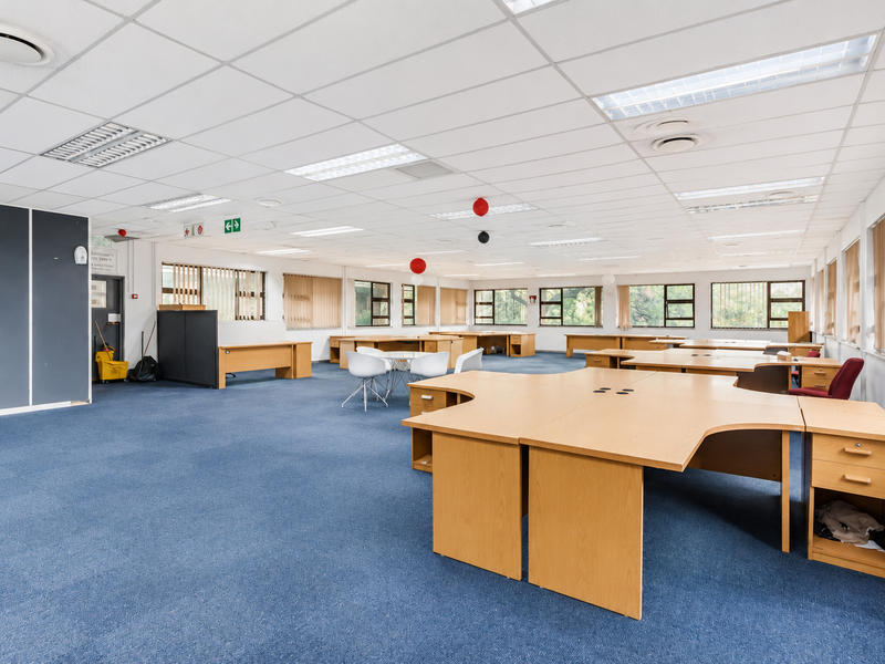 Spacious open-plan office area featuring a suspended ceiling with recessed lighting, large windows with vertical blinds, and blue carpeting throughout.