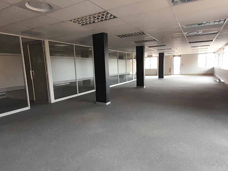 Large Ground Floor Office with Extensive Private Office Component - Photo 9