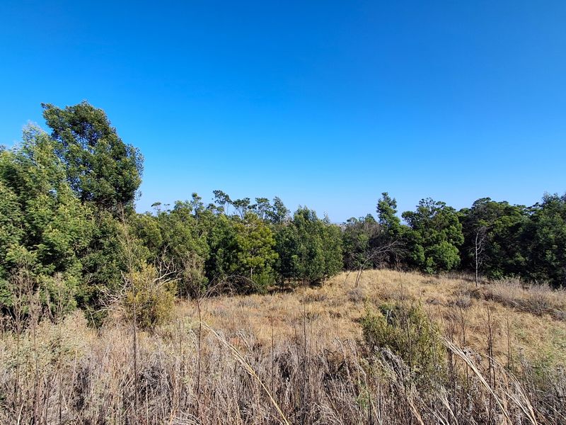 A Private Bushveld Retreat with Exceptional Views and Passive Income - Photo 7