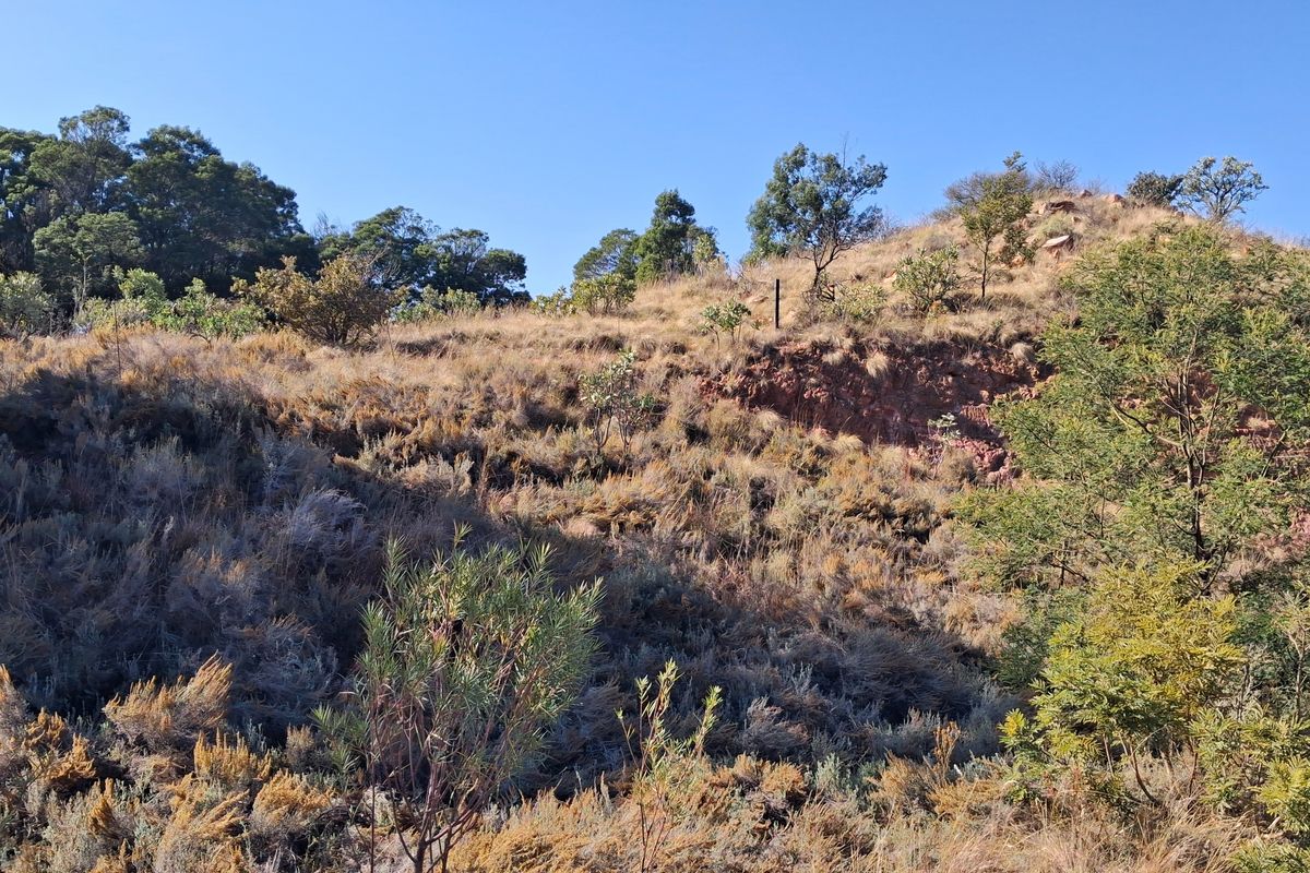 A Private Bushveld Retreat with Exceptional Views and Passive Income - Photo 5
