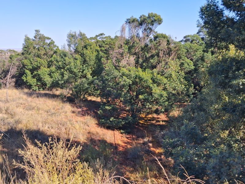 A Private Bushveld Retreat with Exceptional Views and Passive Income - Photo 4