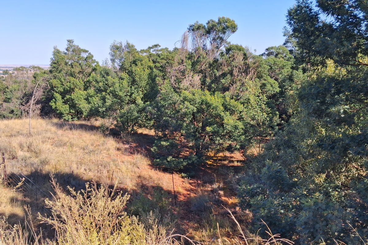 A Private Bushveld Retreat with Exceptional Views and Passive Income - Photo 4