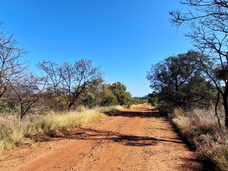 A view of a rural dirt access road winding through the natural landscape of the farm property.