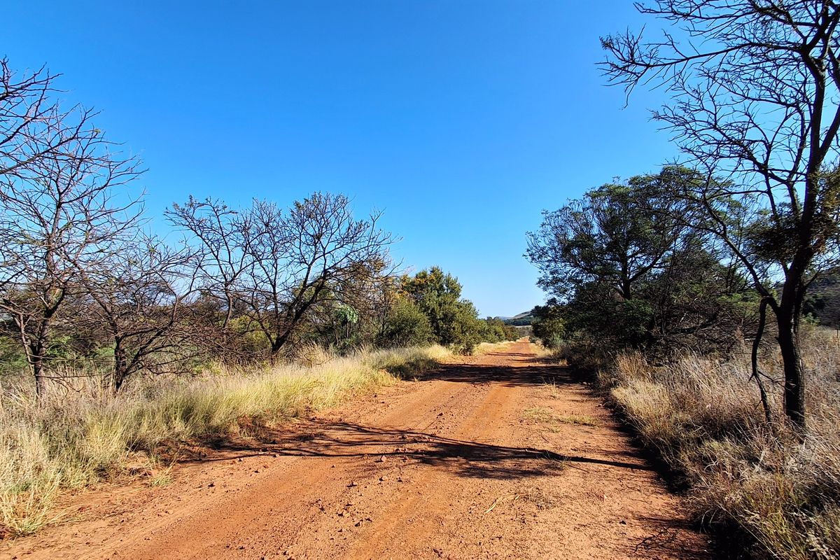 A view of a rural dirt access road winding through the natural landscape of the farm property.
