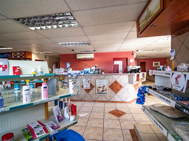 A commercial office space featuring a built-in service counter, tiled flooring, and suspended ceiling with recessed lighting, suitable for retail or administrative use.