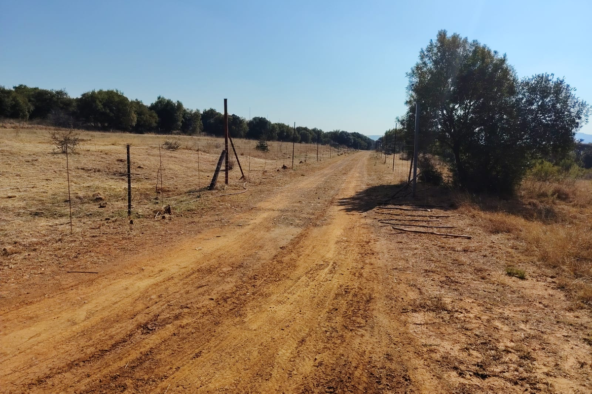 A dirt access road running through the farm property, bordered by wire fencing and mature trees under a clear sky.