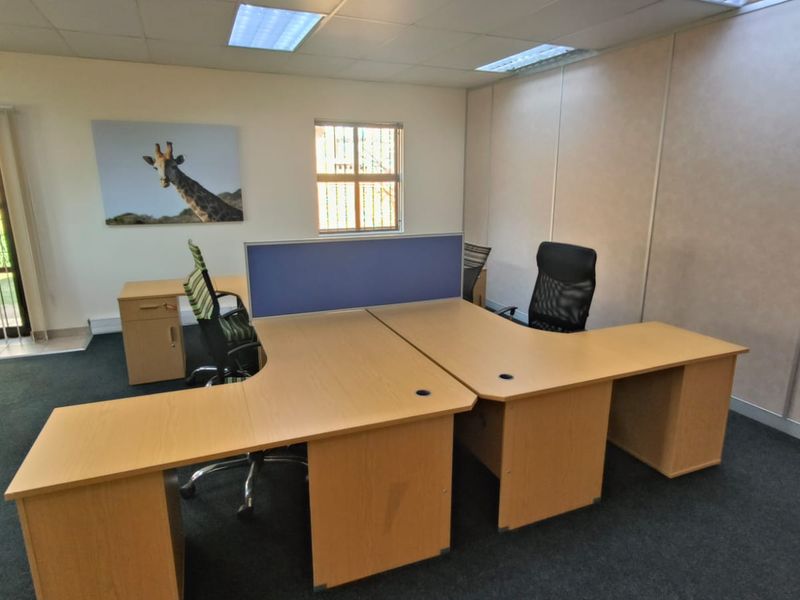 A functional office space featuring a suspended ceiling, recessed lighting, and carpeted flooring, providing a practical environment for professional work.