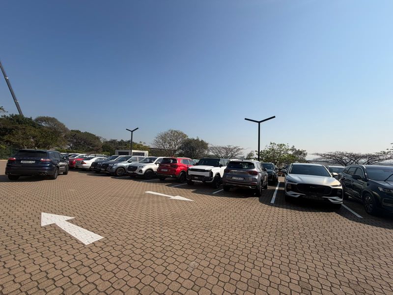 A well-maintained paved parking lot with clearly marked bays and pole-mounted lighting, suitable for retail customer or staff parking.