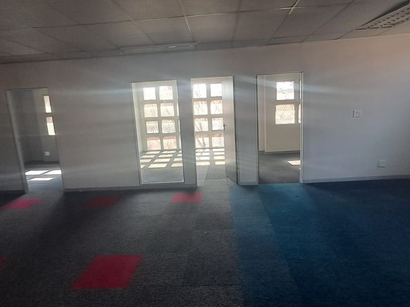 An empty office space featuring suspended ceilings, grid lighting, and multi-pane windows, with worn carpet tiles throughout.