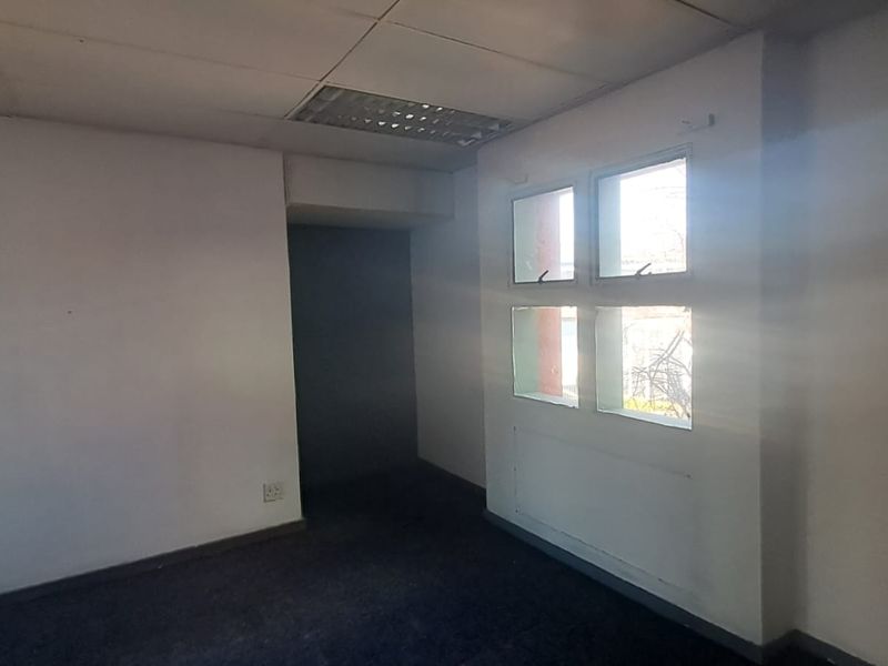 An empty office space featuring carpeted flooring, a suspended ceiling with recessed lighting, and a multi-pane window providing natural light.