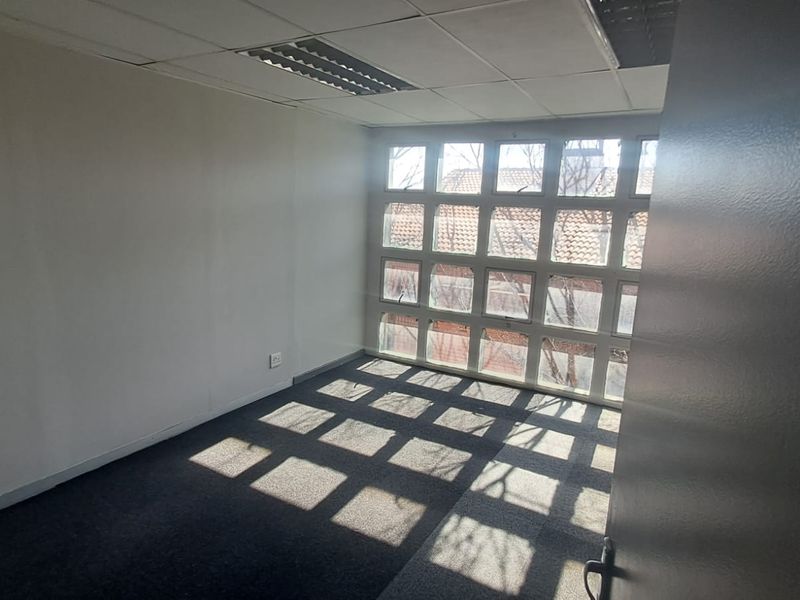 A vacant office space featuring a grid ceiling, recessed lighting, carpeted flooring, and a large multi-pane window providing natural light.