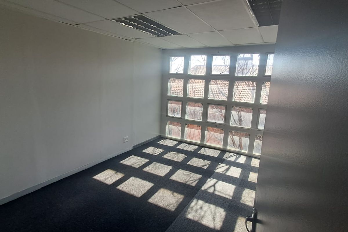 A vacant office space featuring a grid ceiling, recessed lighting, carpeted flooring, and a large multi-pane window providing natural light.