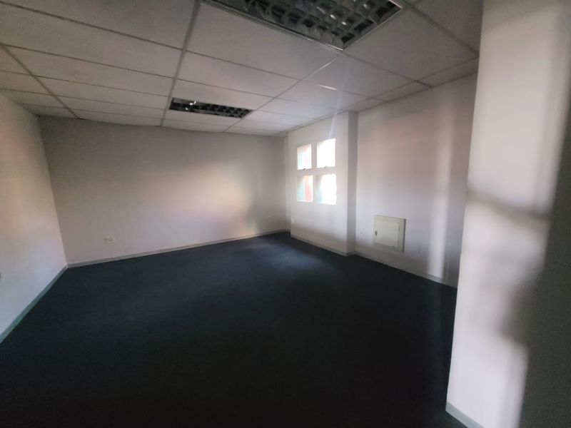 An empty office space featuring a suspended ceiling with recessed lighting and carpeted flooring, suitable for a professional workspace setup.