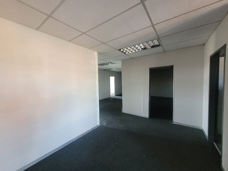 An empty office space featuring a suspended ceiling with recessed lighting and dark carpet flooring, ready for custom fit-out.