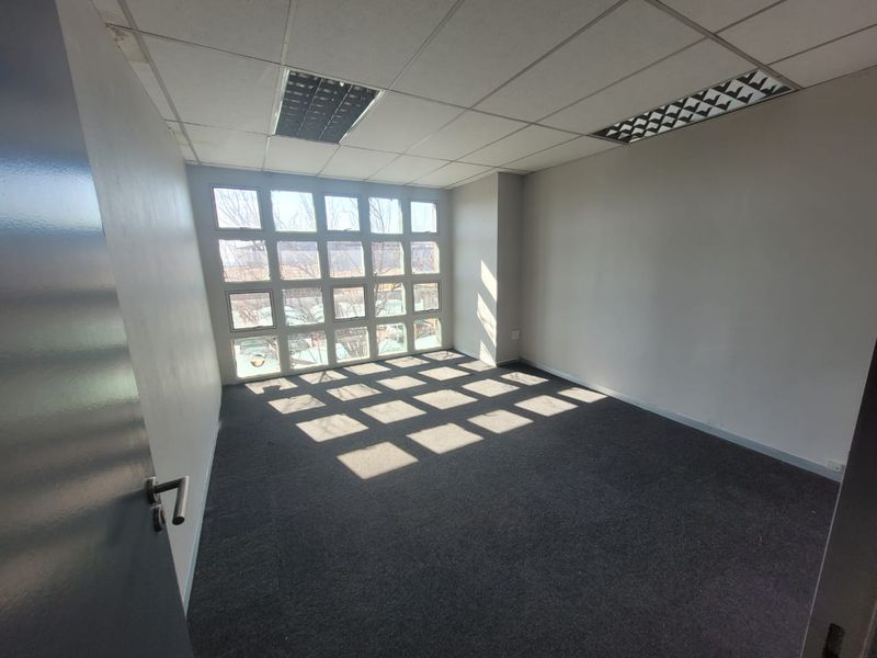 A vacant office space featuring a large grid-pattern window, suspended ceiling with recessed lighting, and neutral carpet flooring.