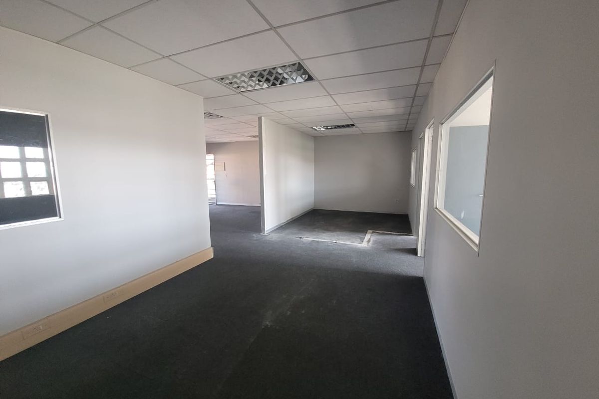 An empty, open-plan office space featuring a suspended ceiling, recessed lighting, and carpeted flooring with internal glass partitions.
