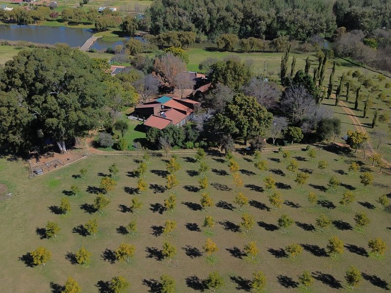 Aerial view of a farm property featuring a main residence, established orchard, and a nearby dam set within a large rural landscape.