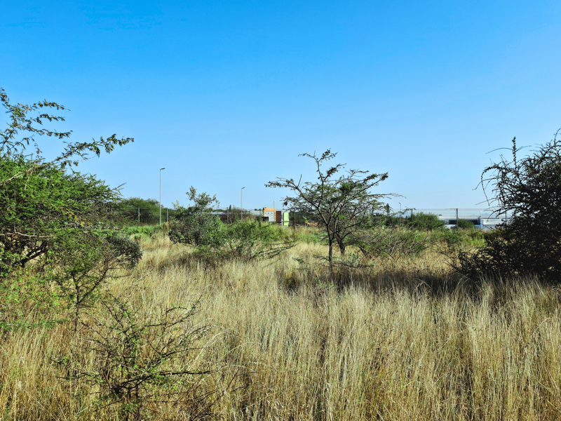 A view of a vacant commercial land plot featuring natural vegetation and open space.