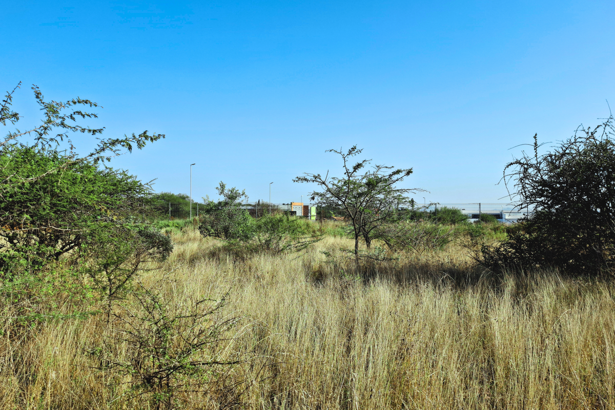 A view of a vacant commercial land plot featuring natural vegetation and open space.