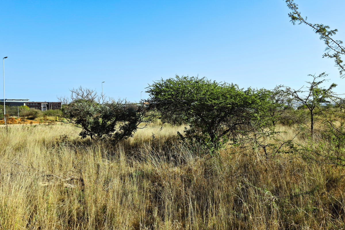 A view of a vacant commercial land plot featuring natural vegetation and existing street lighting infrastructure.
