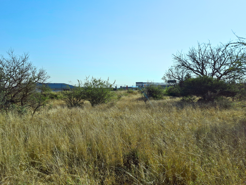 A view of a vacant commercial land plot featuring natural vegetation and open space, suitable for future development.