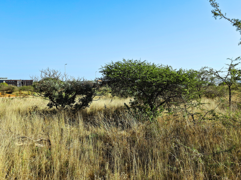 A view of a vacant commercial land plot featuring natural vegetation and existing street lighting infrastructure.