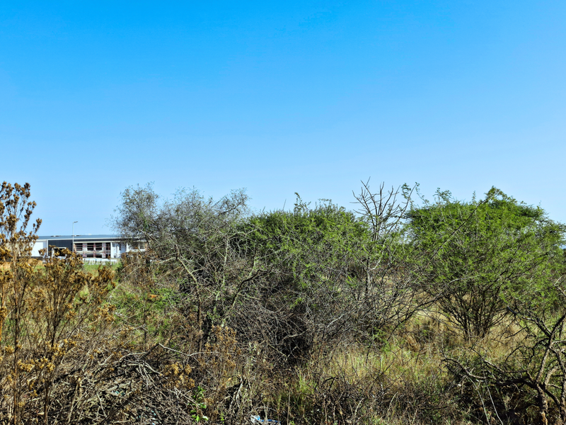 A view of the undeveloped commercial land featuring native vegetation and scrub, with neighboring industrial structures visible in the distance.