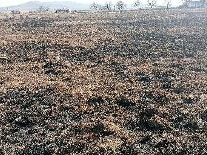 A wide view of a vacant commercial land plot showing signs of recent fire damage across the terrain.