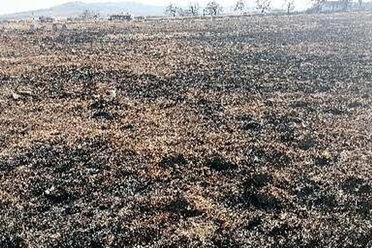 A wide view of a vacant commercial land plot showing signs of recent fire damage across the terrain.