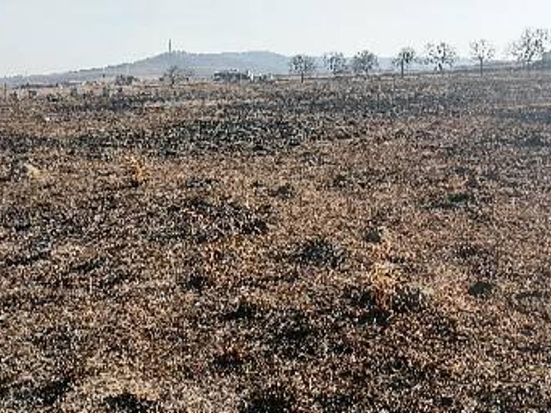 A wide view of a vacant commercial land plot showing signs of recent fire damage across the terrain.