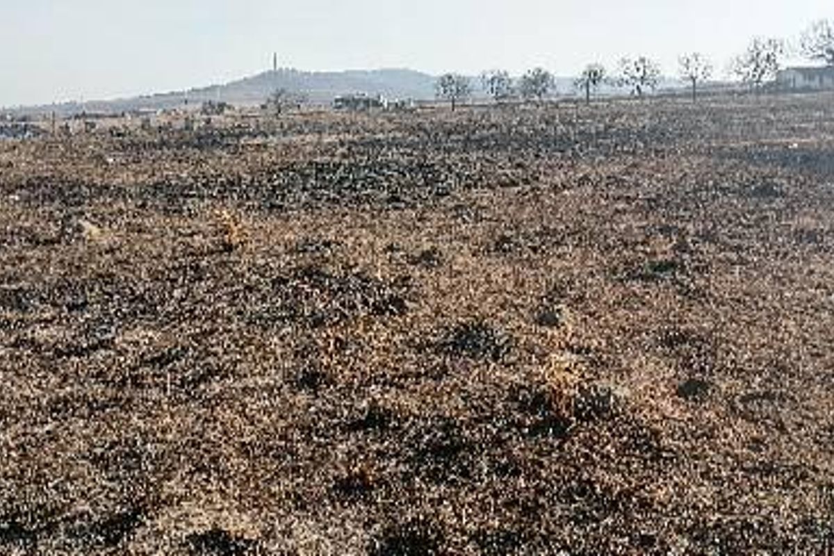A wide view of a vacant commercial land plot showing signs of recent fire damage across the terrain.