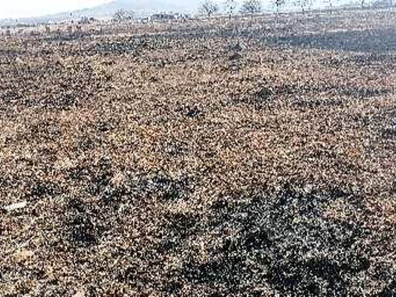 A wide-angle view of a vacant commercial land plot featuring dry, scorched vegetation across the terrain.