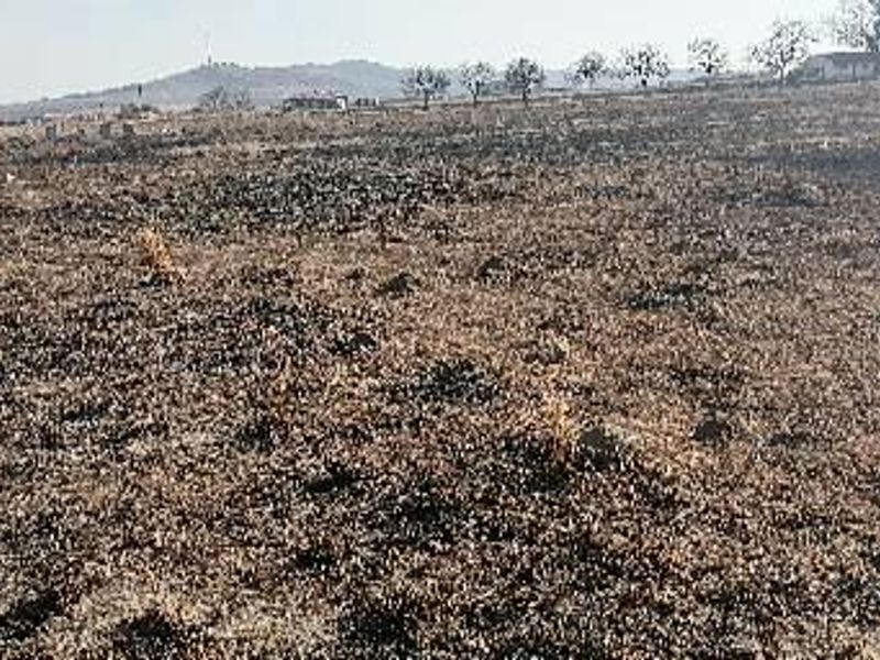 A wide view of a vacant commercial land plot showing signs of recent fire damage across the terrain.
