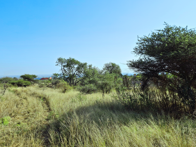 A view of an undeveloped commercial land plot featuring native vegetation and open grass fields under a clear blue sky.