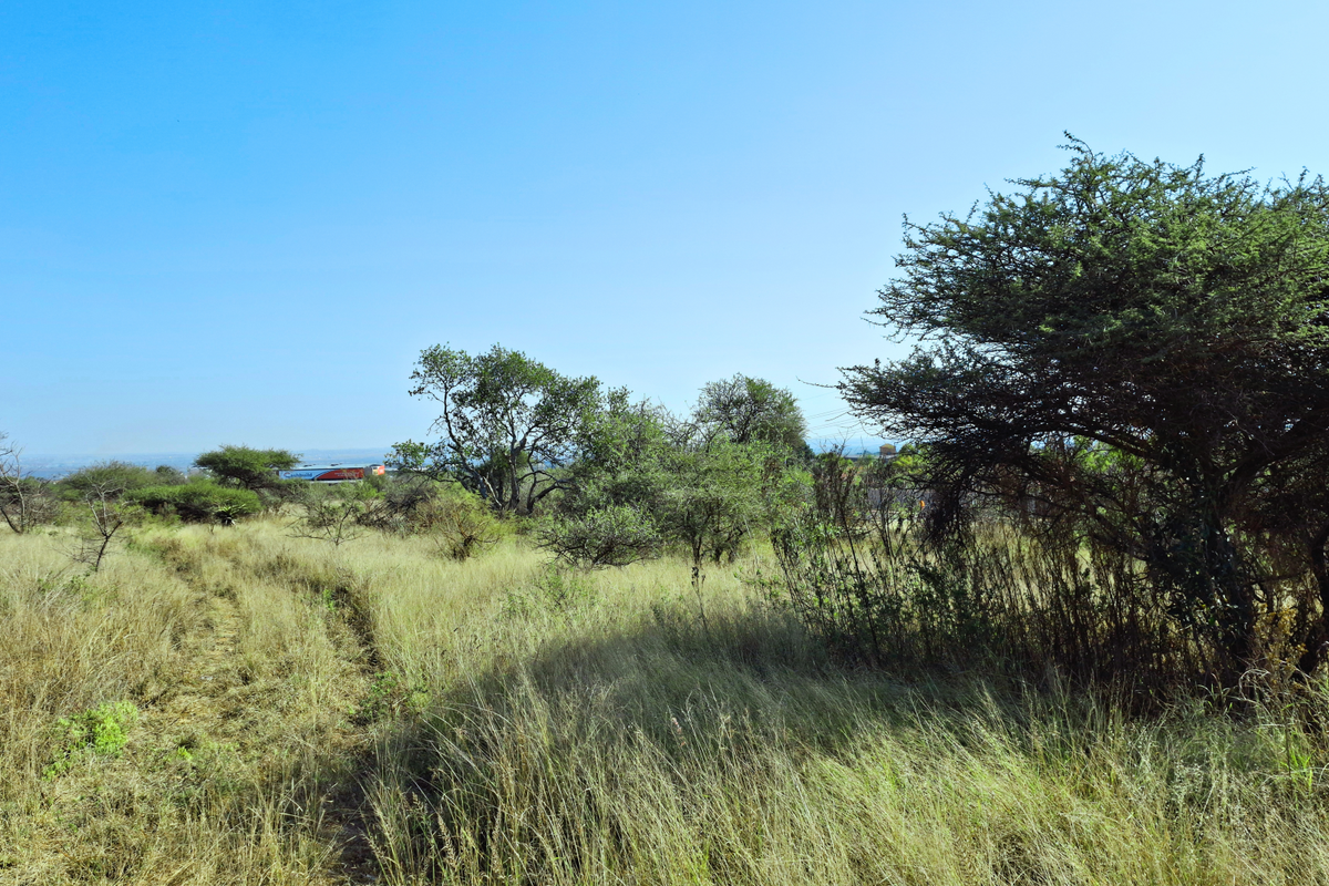 A view of an undeveloped commercial land plot featuring native vegetation and open grass fields under a clear blue sky.