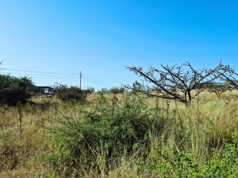 A view of the vacant commercial land featuring natural vegetation and overhead power lines.
