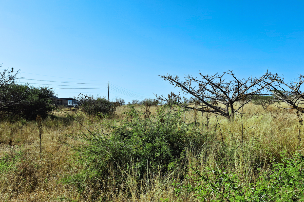A view of the vacant commercial land featuring natural vegetation and overhead power lines.