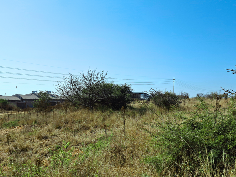 A view of a vacant commercial land plot featuring natural vegetation and overhead power lines with neighboring residential properties visible in the background.