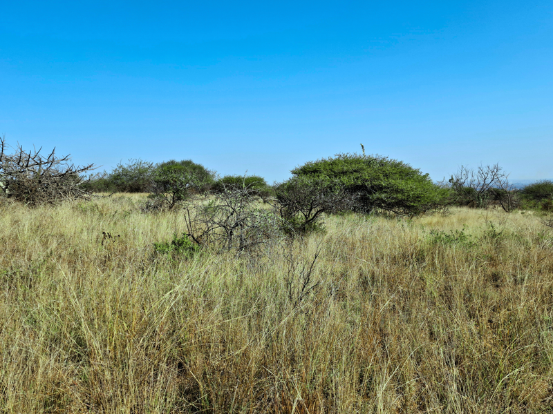A view of the undeveloped commercial land featuring natural vegetation and open terrain.