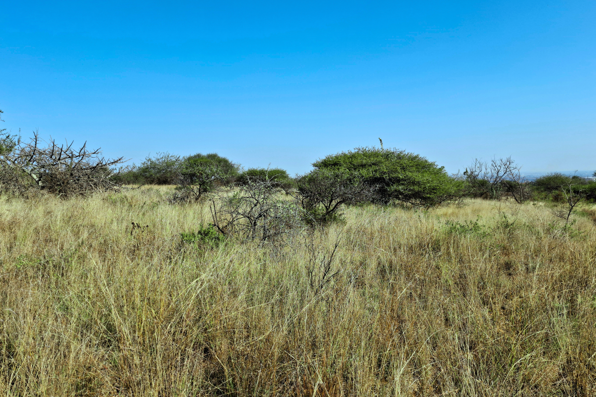 A view of the undeveloped commercial land featuring natural vegetation and open terrain.