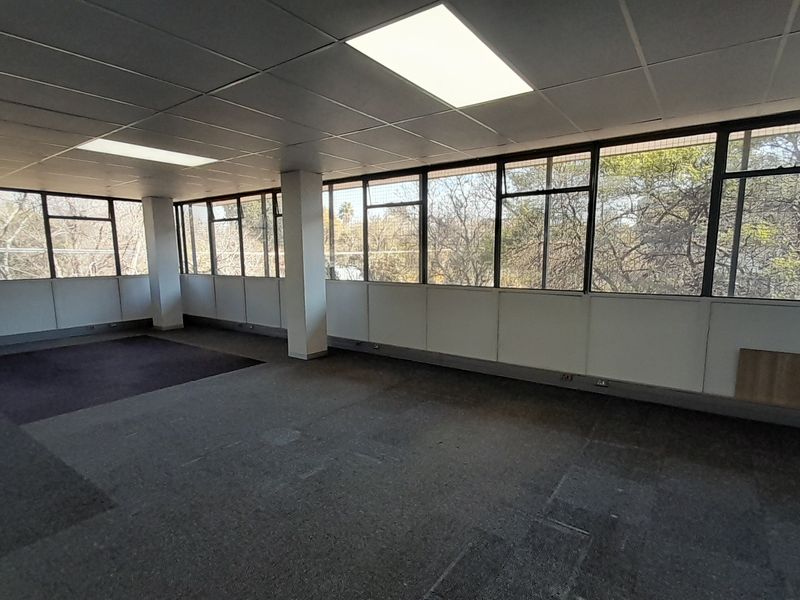 Spacious, empty office area featuring large windows, suspended ceilings with recessed lighting, and carpeted flooring, offering a bright and open workspace.