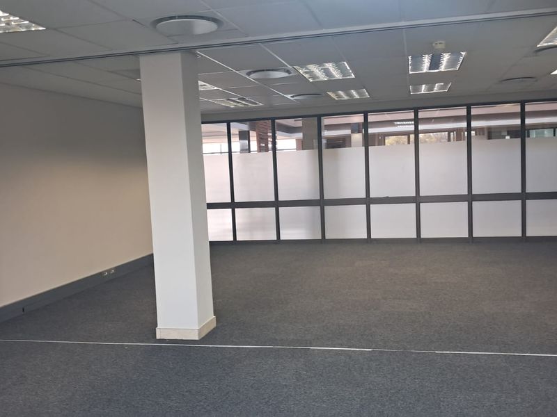 A spacious, empty office area featuring carpeted flooring, a suspended ceiling with recessed lighting, and large aluminium-framed windows providing natural light.