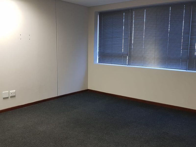 A vacant office space featuring grey carpeting, a suspended ceiling with recessed lighting, and large windows fitted with venetian blinds.