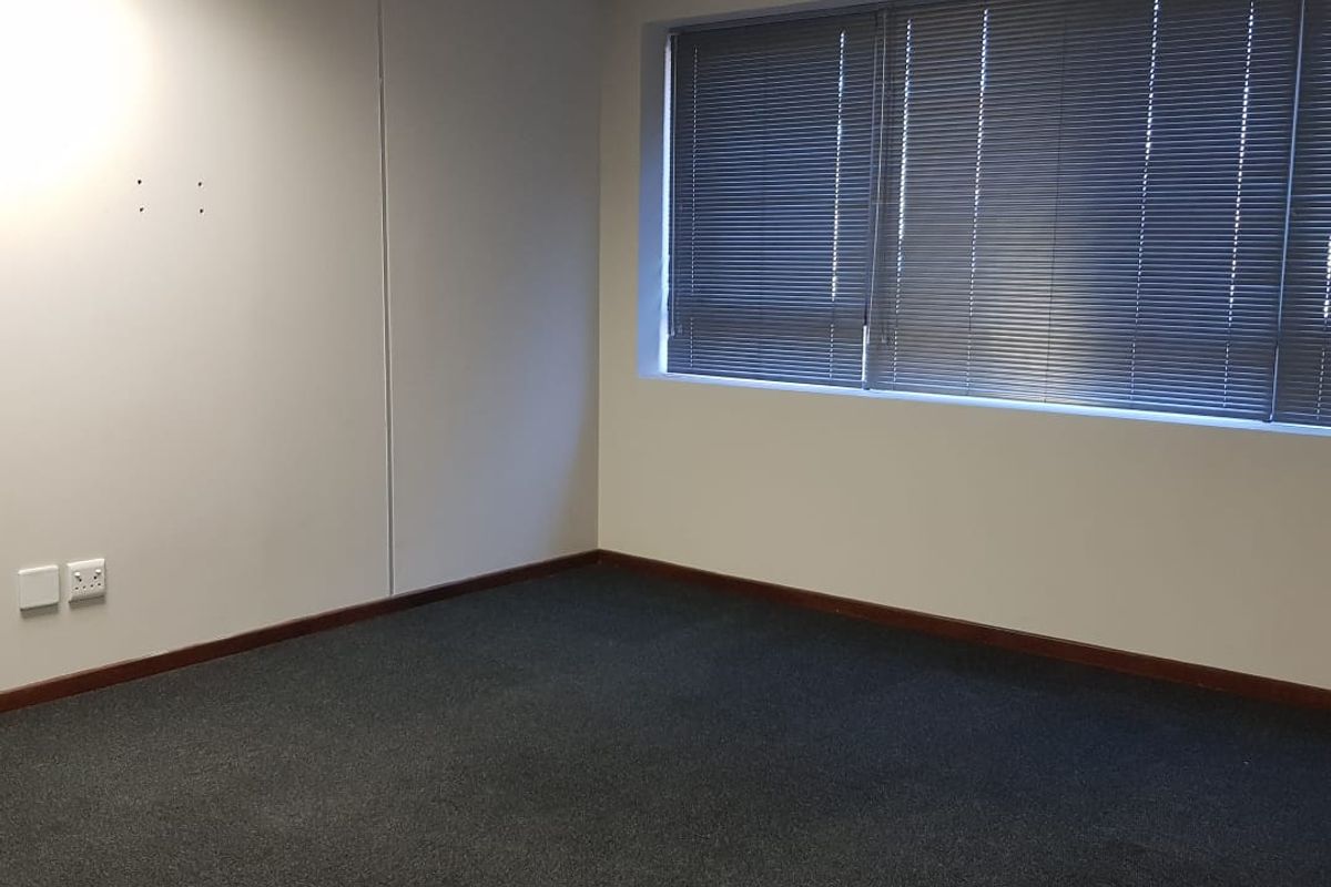 A vacant office space featuring grey carpeting, a suspended ceiling with recessed lighting, and large windows fitted with venetian blinds.