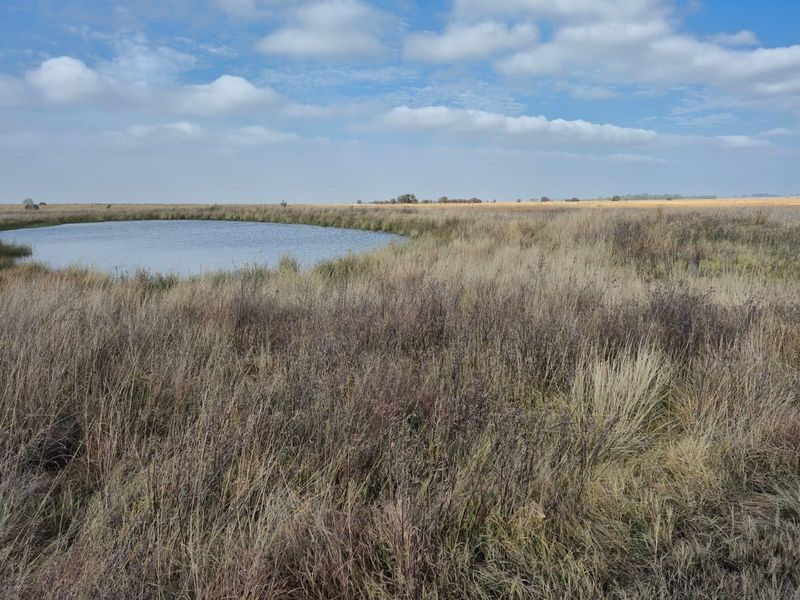 A scenic view of the farm property featuring a natural pond surrounded by expansive open grasslands under a clear sky.