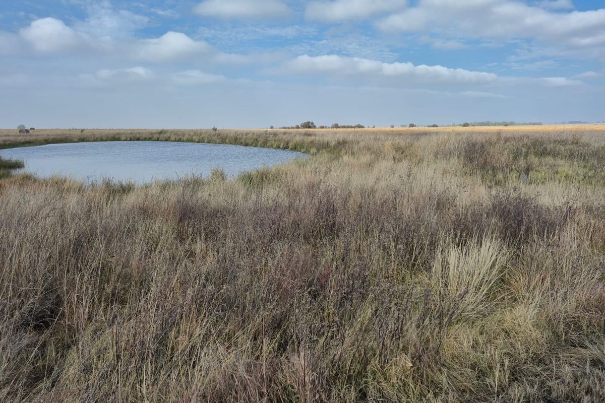 A scenic view of the farm property featuring a natural pond surrounded by expansive open grasslands under a clear sky.